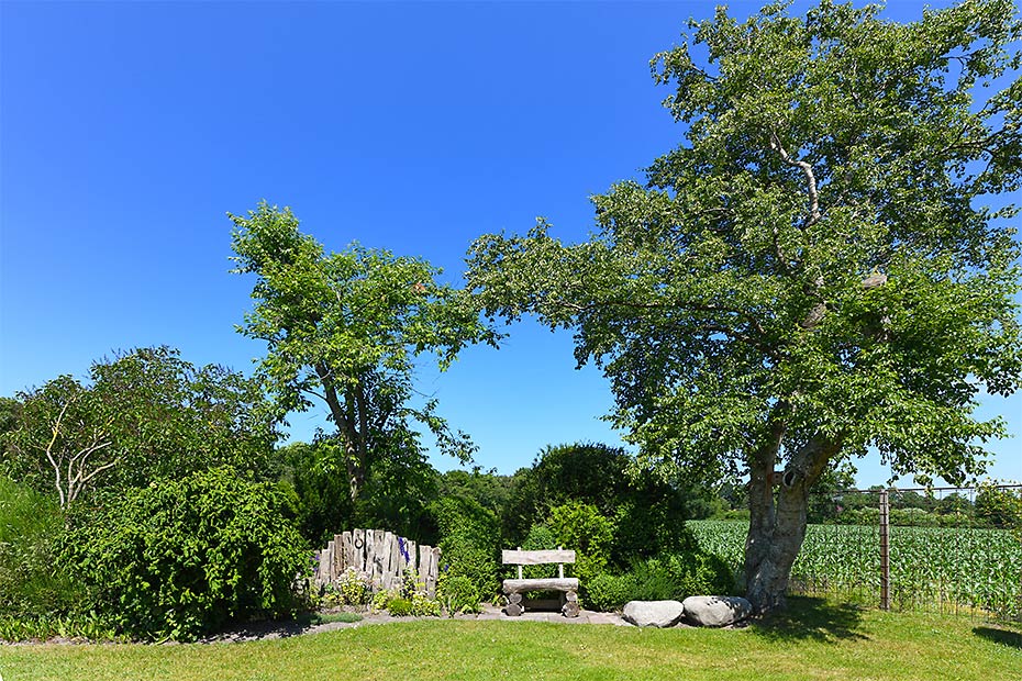 Foto aus der Fotogruppe 