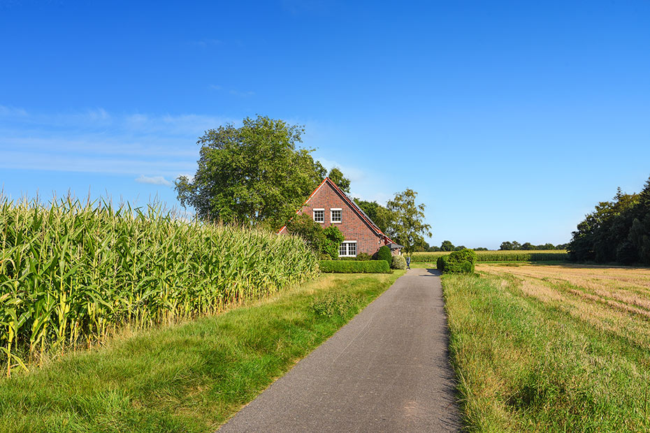 Foto aus der Fotogruppe 